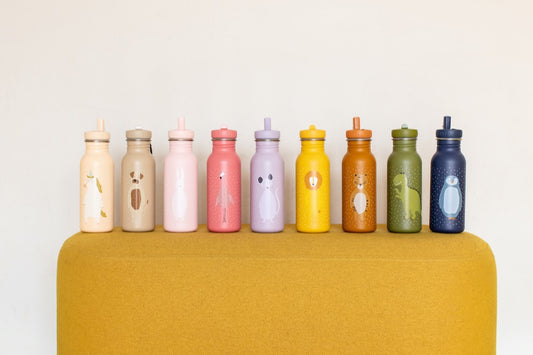 Roestvrijstalen Drinkfles Kinderen Duurzaam 500Ml MrDog by Trixie Baby