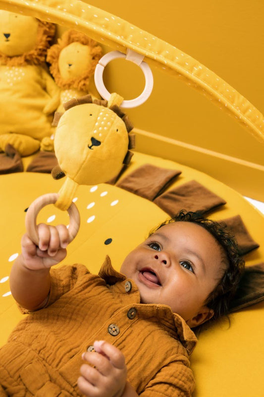 Activiteiten Speelmat Met Bogen Texturen Rammelaar by Trixie Baby