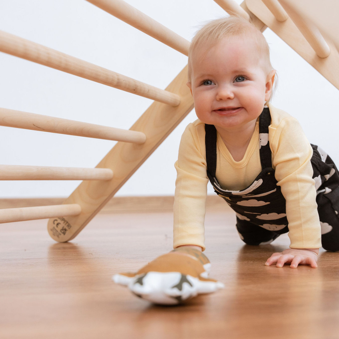 Klimdriehoek 2 Segmenten Met Glijbaanhelling Instelbaar by Ette Tete
