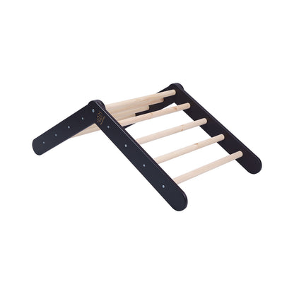 Ladderhuis Met Roze Kinderkameraccessoire Speelruimte by MeowBaby