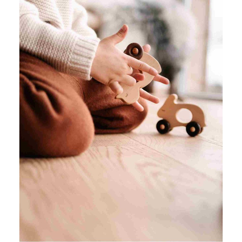 Houten Auto | Duck by Wooden Story