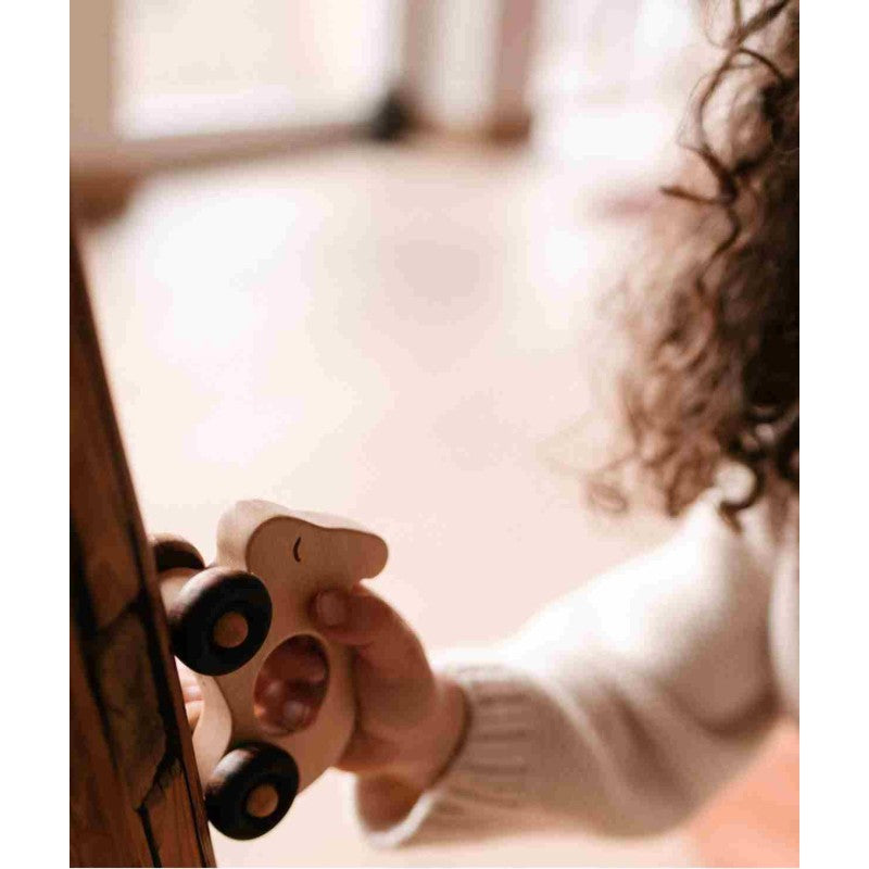 Houten Auto | Rabbit by Wooden Story